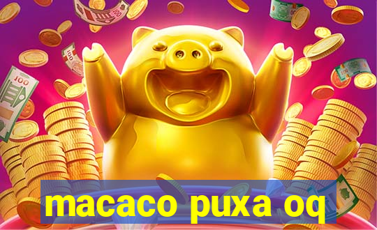 macaco puxa oq